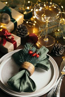 All-Inclusive Christmas Parties 2024 at The Queen at Chester Hotel