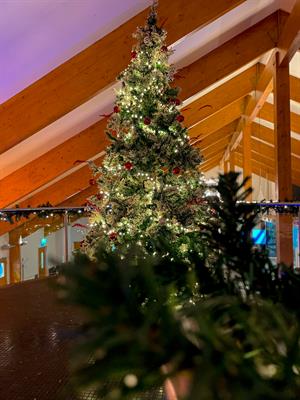 Celebrate Christmas Parties 2025 at Draycote Hotel, Rugby