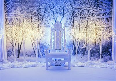 Enchanted Forest Christmas Parties 2025, Birmingham (Exclusive)