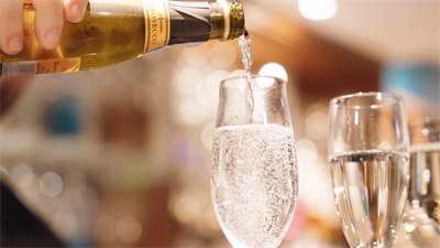 Christmas Parties 2025 at Hamilton Park Racecourse