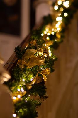 Christmas Parties 2025 at The Elvetham, Hook Hampshire