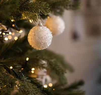 Christmas Parties 2025 at the Wild Pheasant Hotel & Spa, Llangollen, Nr Wrexham