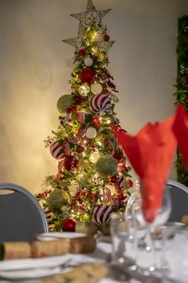 Celebrate Christmas Parties 2025 at Mercure Manchester Piccadilly
