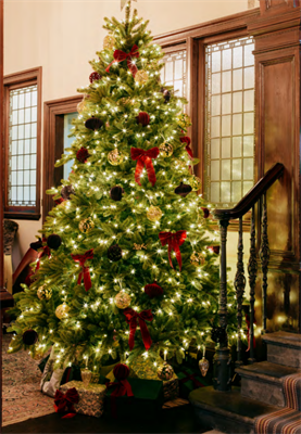 Christmas Parties 2025 at The Roseate Edinburgh