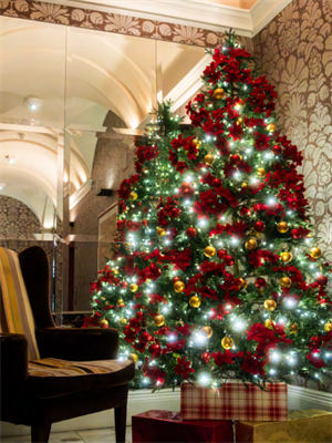 Christmas Parties 2025 at The Roseate Reading