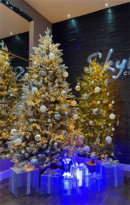 Christmas Parties 2025 at Skylark Country Club, nr Fareham