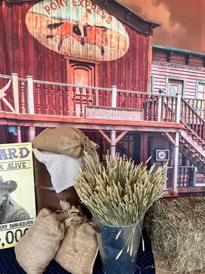 Wild West Hoedown Christmas Party in Loughborough 2025