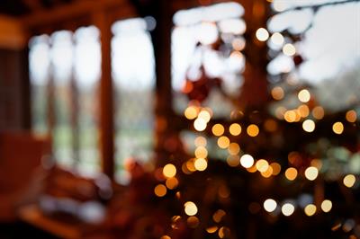 Christmas Parties 2026 at Leonardslee Wine Estate, Mannings Heath, Horsham