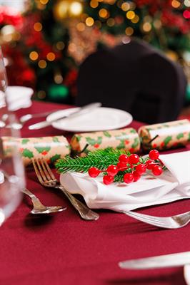 Christmas Parties 2026 at the BCEC, Holiday Inn Birmingham City Centre