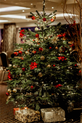 Christmas Parties 2026 at the DoubleTree by Hilton Cadbury House, Bristol