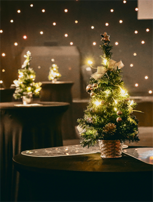 Exclusive Christmas Parties 2026 at Church House Westminster, Central London SW1P