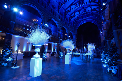 Enchanted Forest Christmas Parties 2025, Birmingham (Exclusive)
