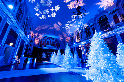 Enchanted Forest Christmas Parties 2025, Birmingham (Exclusive)