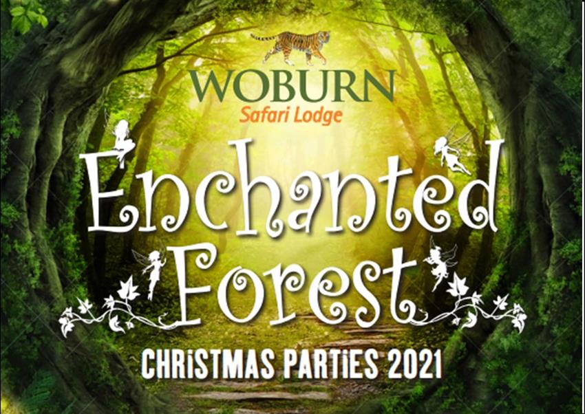 Enchanted Forest Christmas Parties 2022 at Woburn Safari Lodge, near Milton Keynes