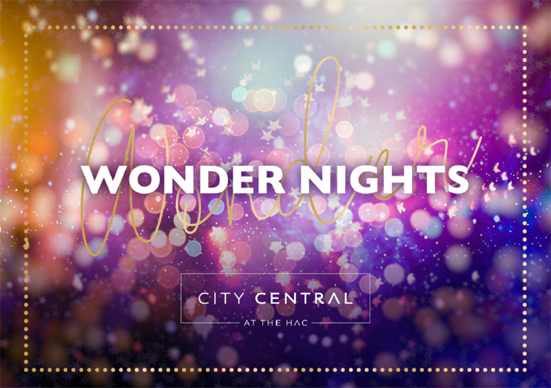 Wonder Nights Christmas Party 2024 at HAC, London EC1