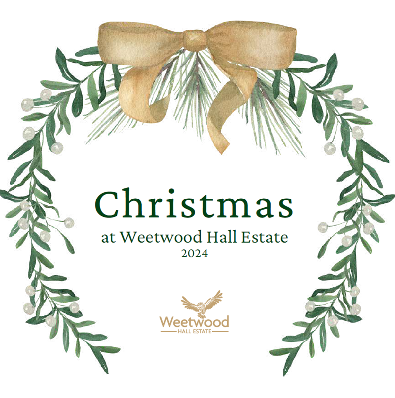 Christmas Parties 2024 at Weetwood Hall Estate, Leeds