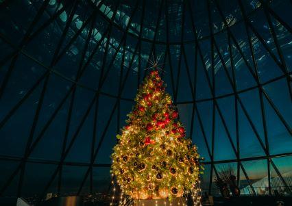 Celebrate Christmas Parties 2022 at Searcys at the top of The Gherkin, London EC3A